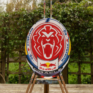 Max Verstappen Helmet
